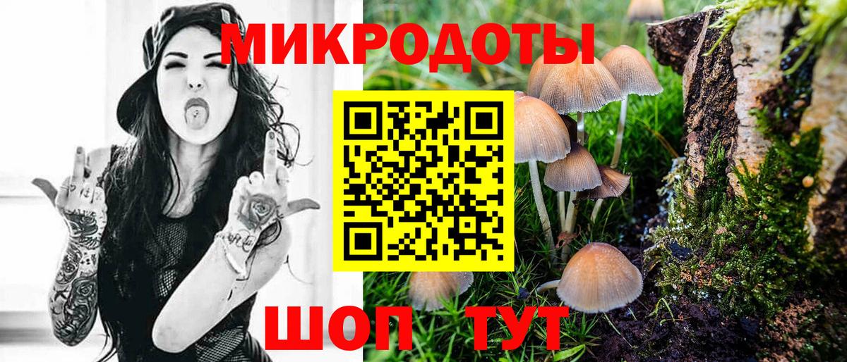 Реж  Галлюциногенные грибы Psilocybe  Вход с VPN 