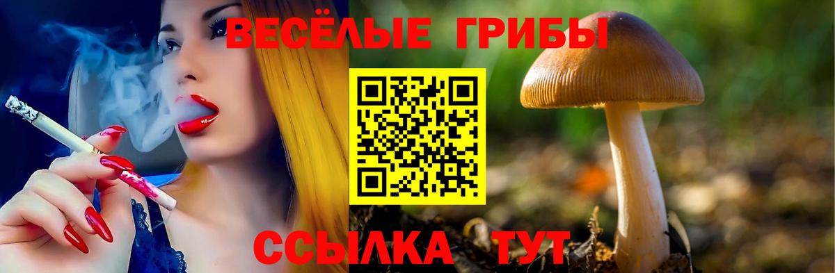Псилоцибиновые грибы мицелий Реж